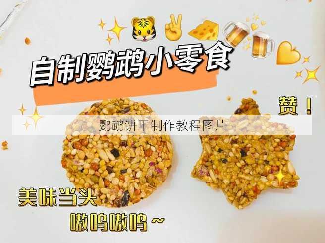 鹦鹉饼干制作教程图片