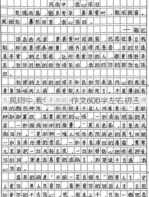 风雨中,我_______作文600字左右初三