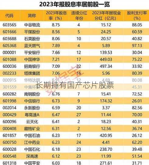 长期持有国产芯片股票