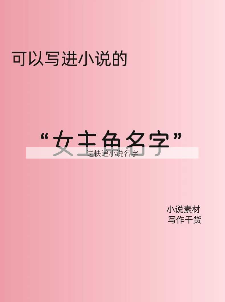 送快递小说名字