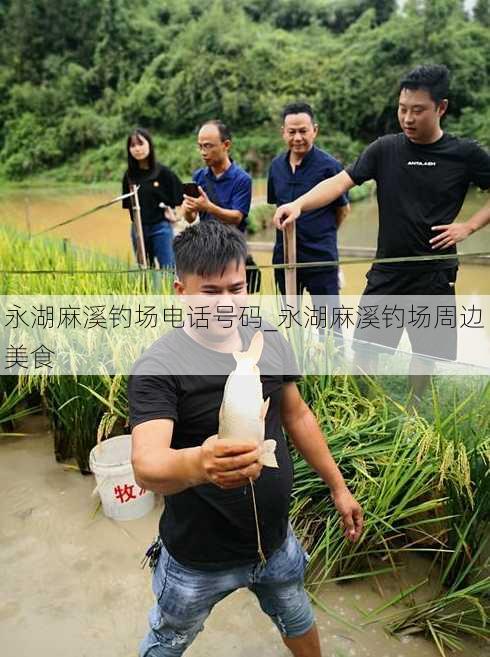 永湖麻溪钓场电话号码_永湖麻溪钓场周边美食