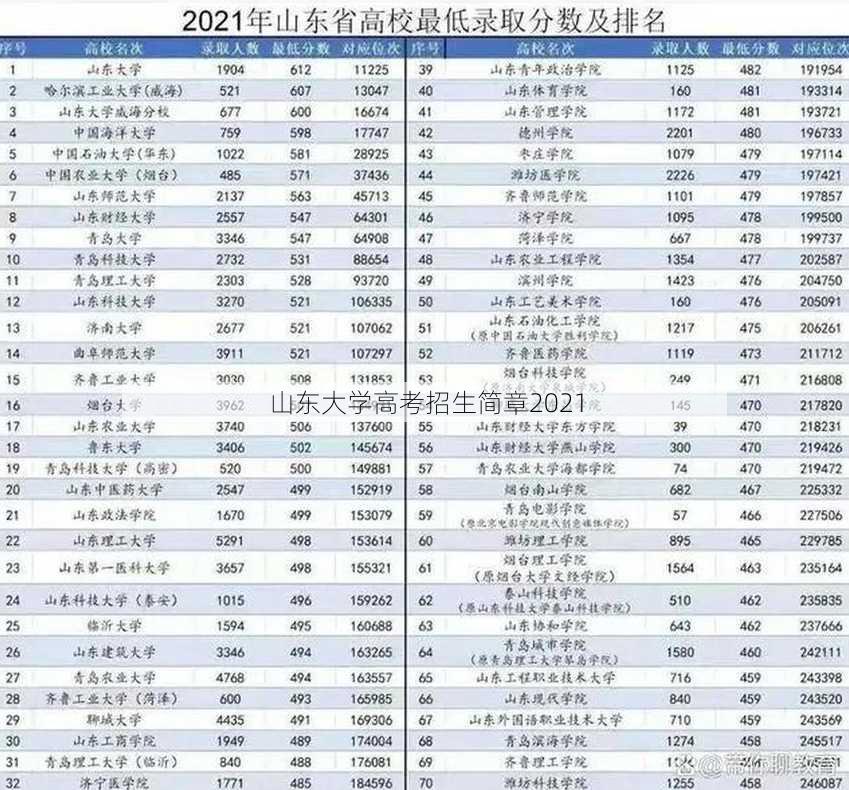 山东大学高考招生简章2021