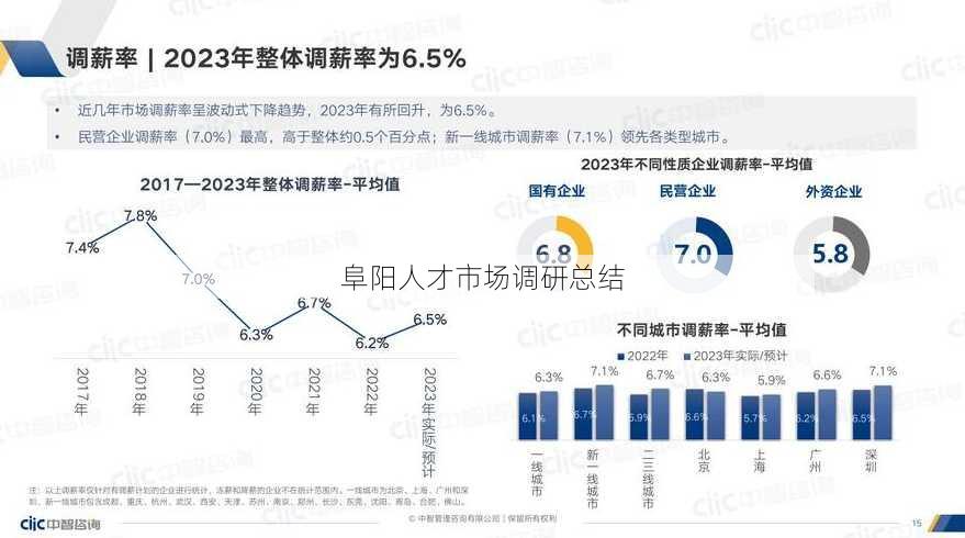 阜阳人才市场调研总结