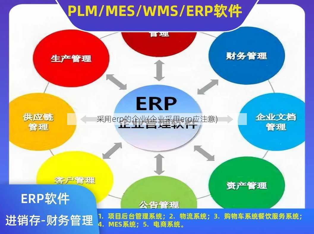 采用erp的企业(企业采用erp应注意)