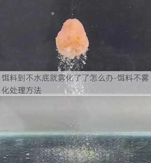 饵料到不水底就雾化了了怎么办-饵料不雾化处理方法