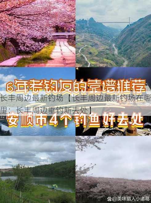 长丰周边最新钓场【长丰周边最新钓场在哪里：长丰周边垂钓新去处】