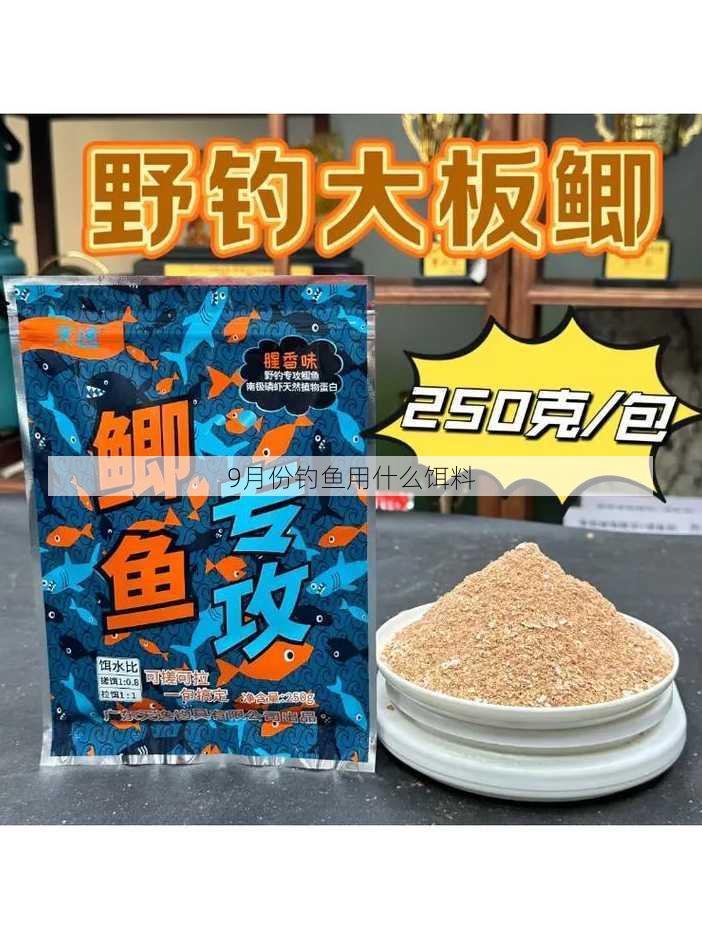 9月份钓鱼用什么饵料