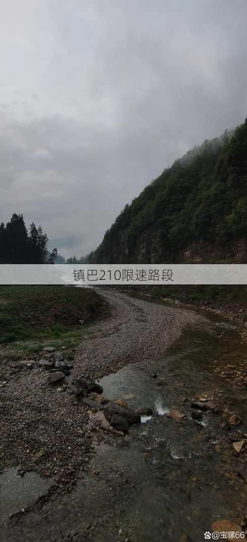 镇巴210限速路段