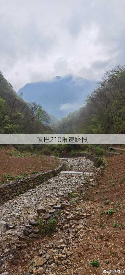 镇巴210限速路段