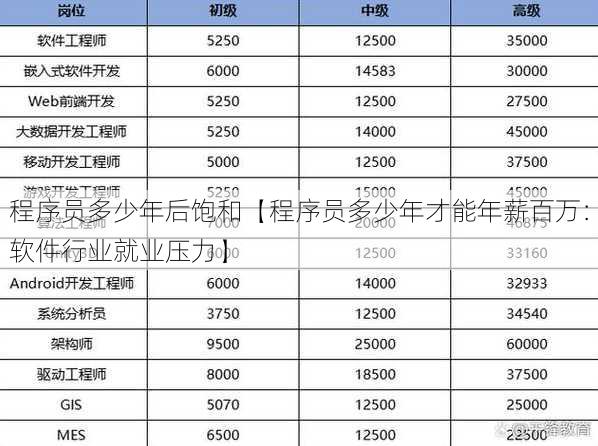 程序员多少年后饱和【程序员多少年才能年薪百万：软件行业就业压力】