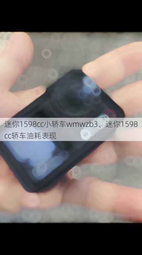 迷你1598cc小轿车wmwzb3、迷你1598cc轿车油耗表现