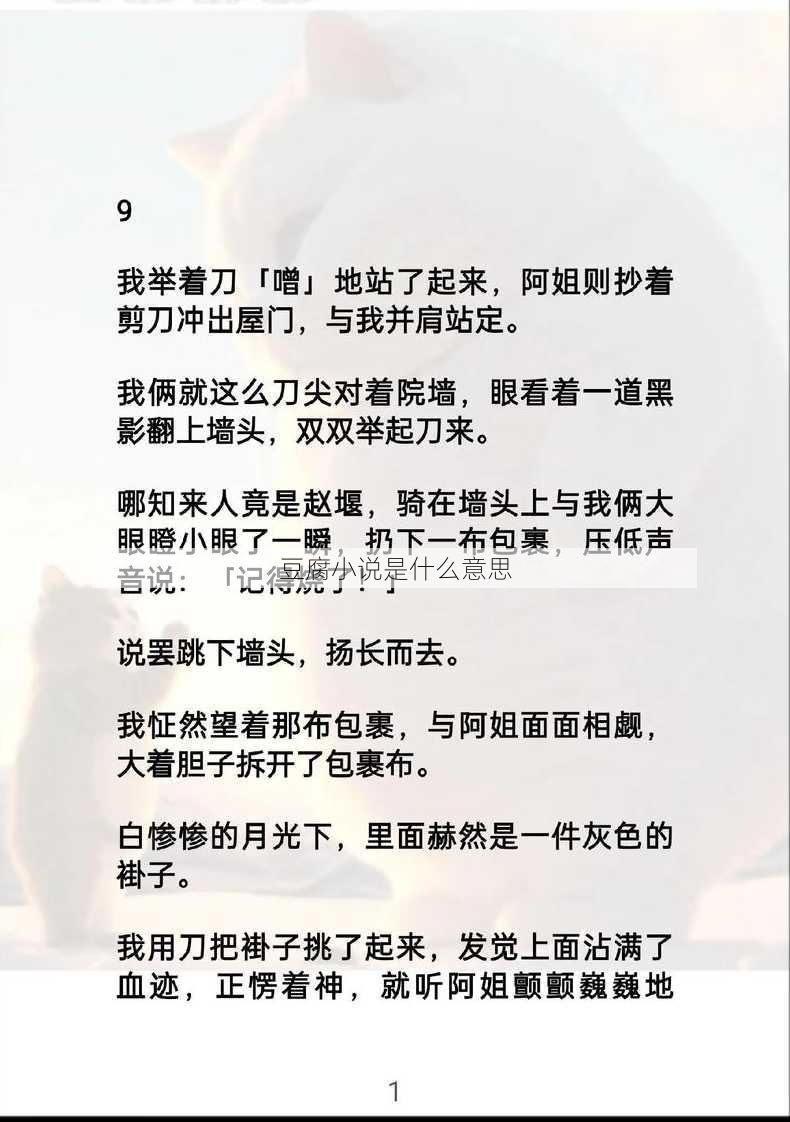 豆腐小说是什么意思