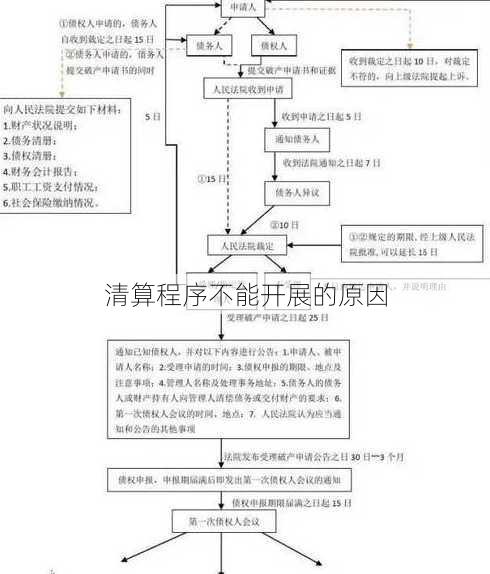 清算程序不能开展的原因