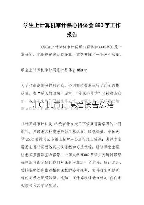 计算机审计课程报告总结