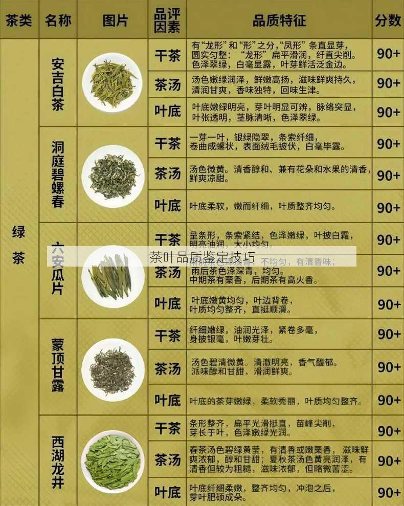 茶叶品质鉴定技巧