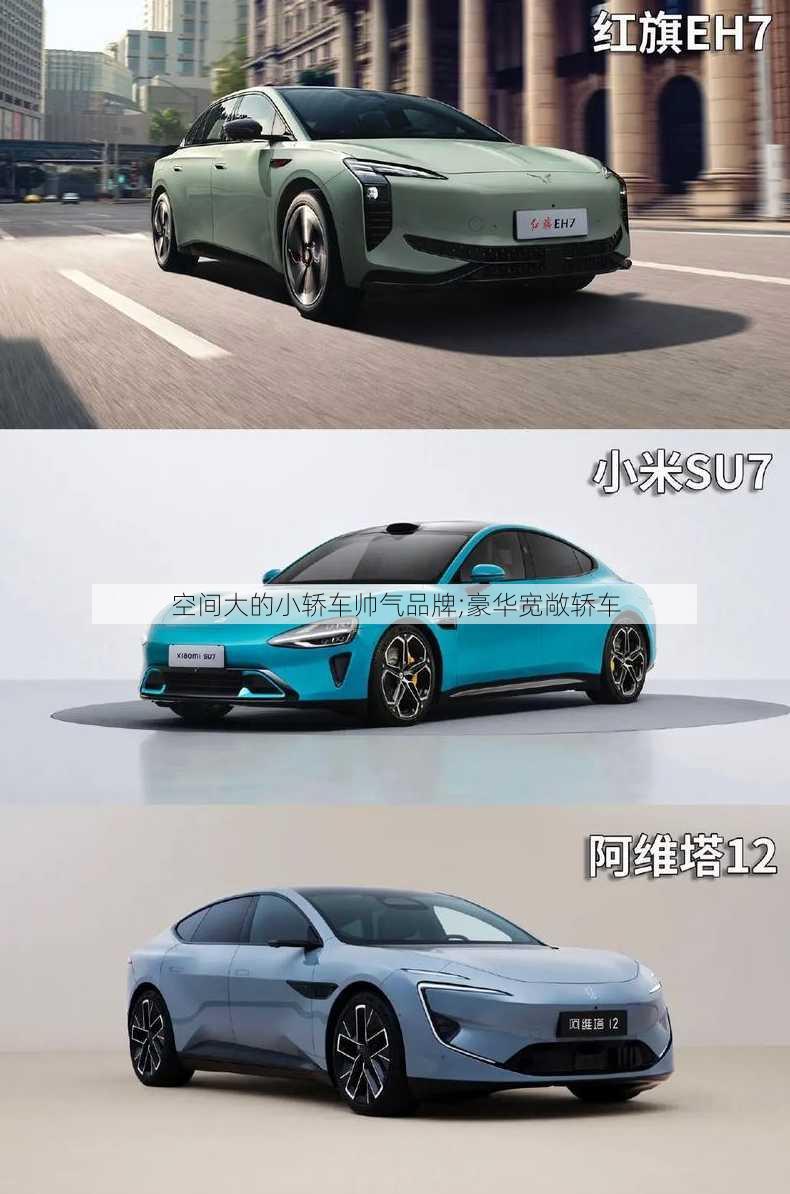 空间大的小轿车帅气品牌;豪华宽敞轿车