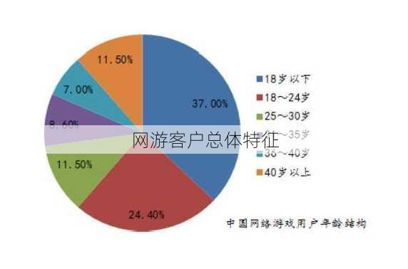 网游客户总体特征