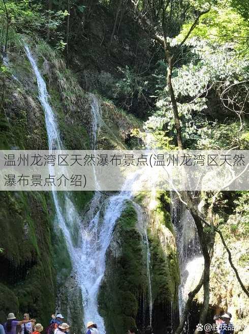 温州龙湾区天然瀑布景点(温州龙湾区天然瀑布景点介绍)