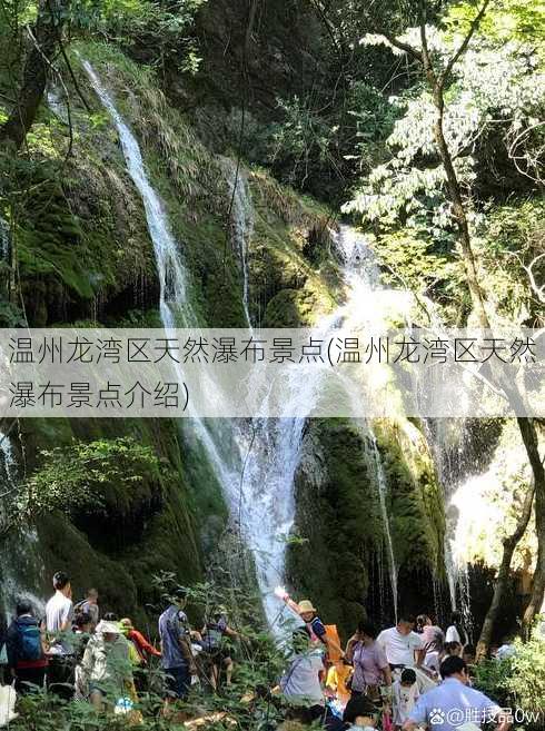 温州龙湾区天然瀑布景点(温州龙湾区天然瀑布景点介绍)