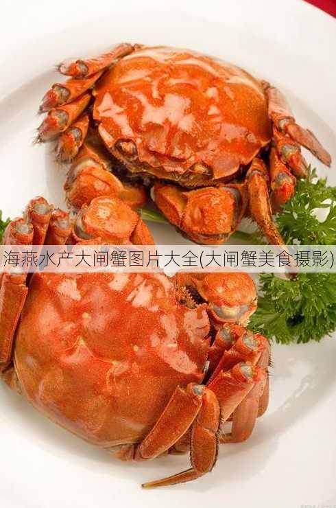 海燕水产大闸蟹图片大全(大闸蟹美食摄影)