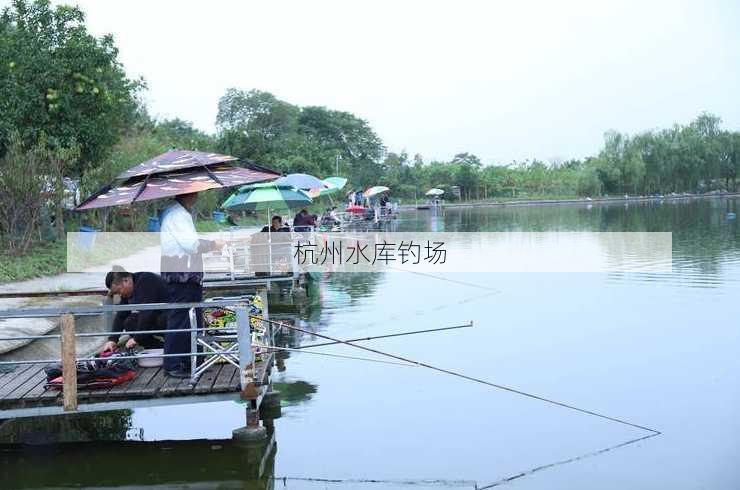 杭州水库钓场