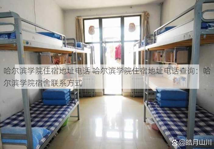 哈尔滨学院住宿地址电话 哈尔滨学院住宿地址电话查询：哈尔滨学院宿舍联系方式