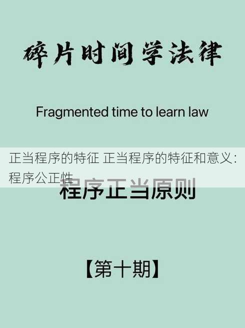 正当程序的特征 正当程序的特征和意义：程序公正性