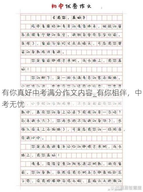 有你真好中考满分作文内容_有你相伴，中考无忧