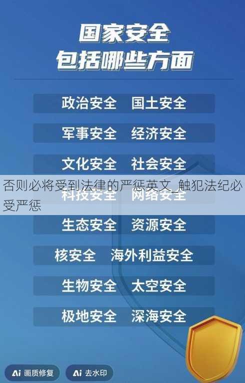 否则必将受到法律的严惩英文_触犯法纪必受严惩