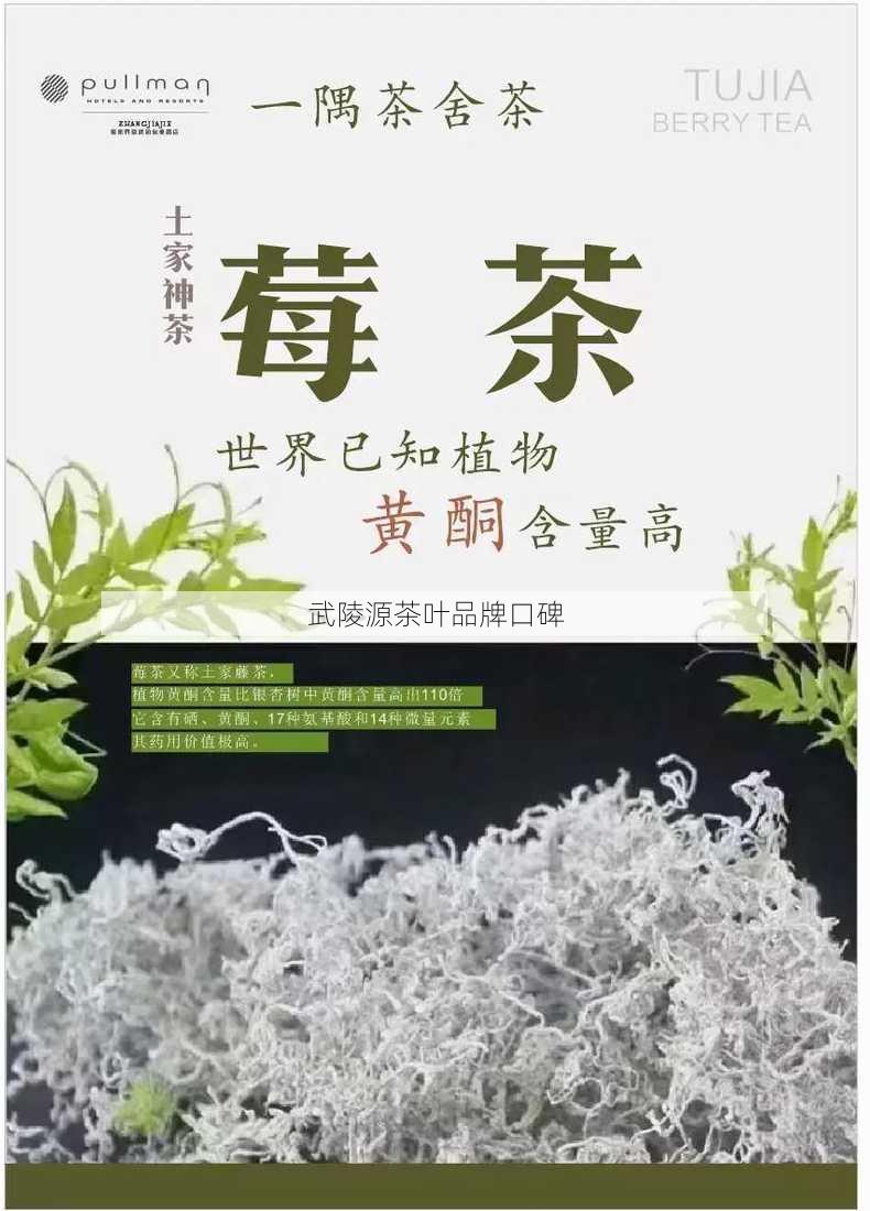 武陵源茶叶品牌口碑