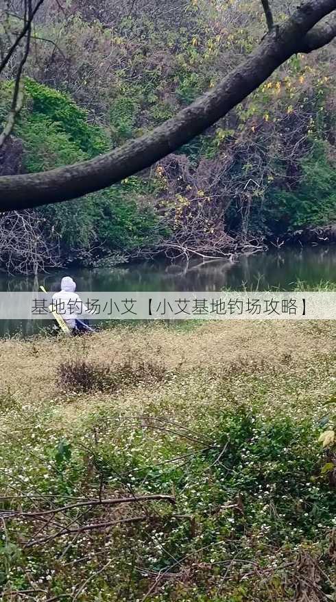 基地钓场小艾【小艾基地钓场攻略】