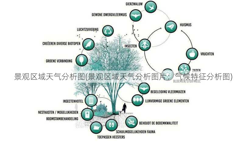 景观区域天气分析图(景观区域天气分析图片：气候特征分析图)