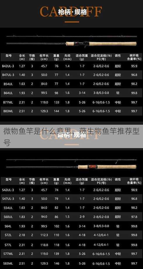 微物鱼竿是什么意思、薇生物鱼竿推荐型号