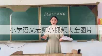 小学语文老师小视频大全图片