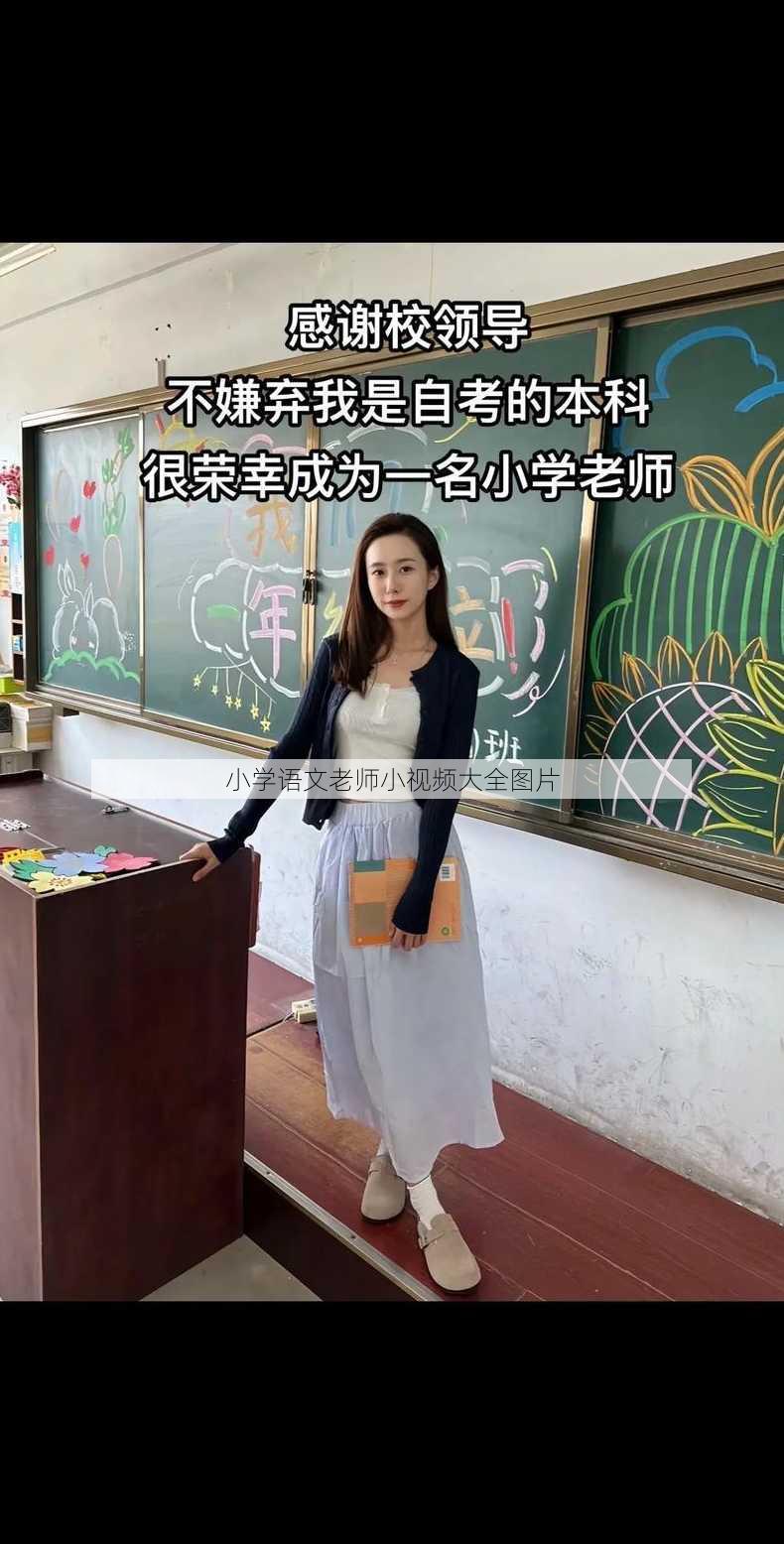 小学语文老师小视频大全图片