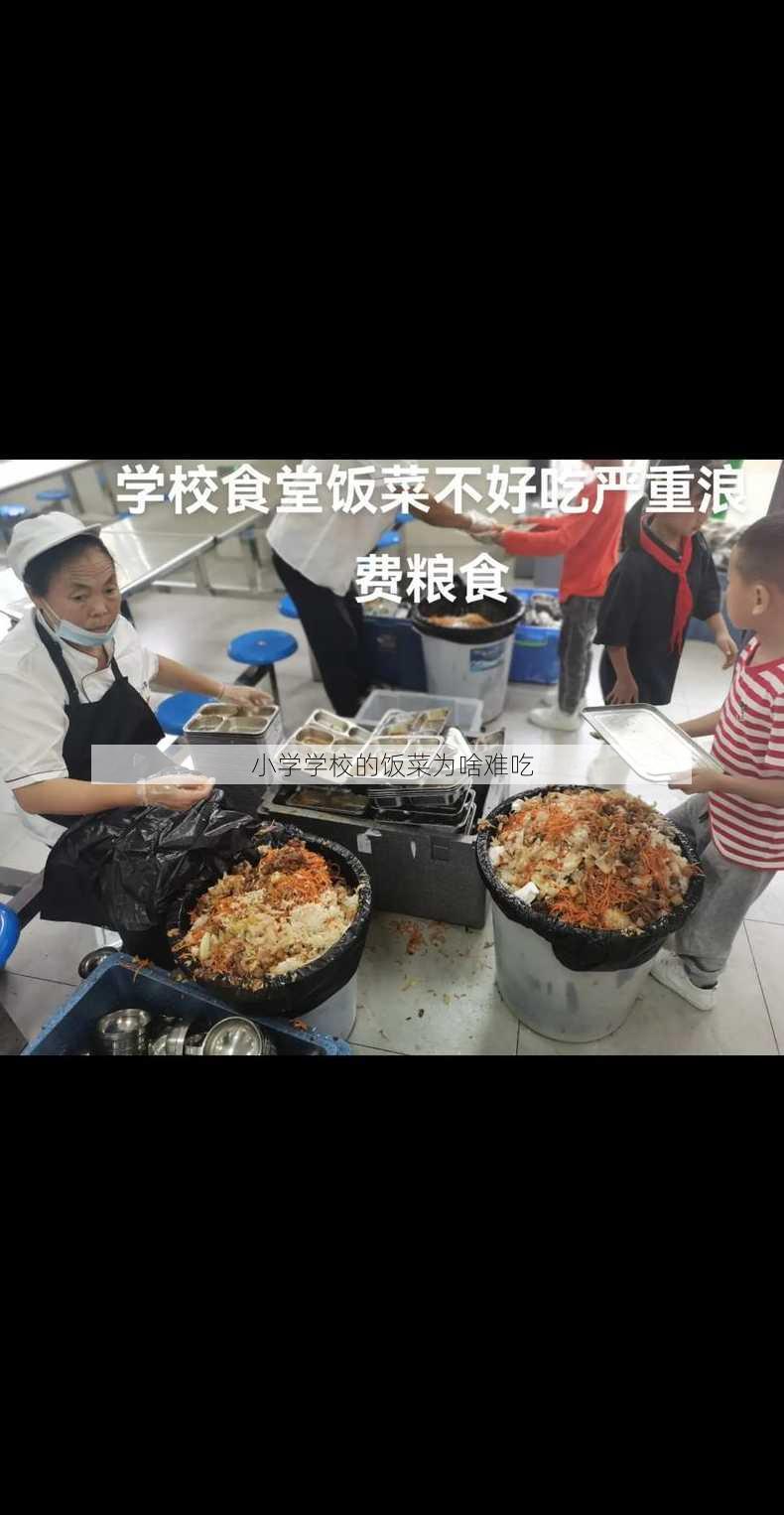 小学学校的饭菜为啥难吃