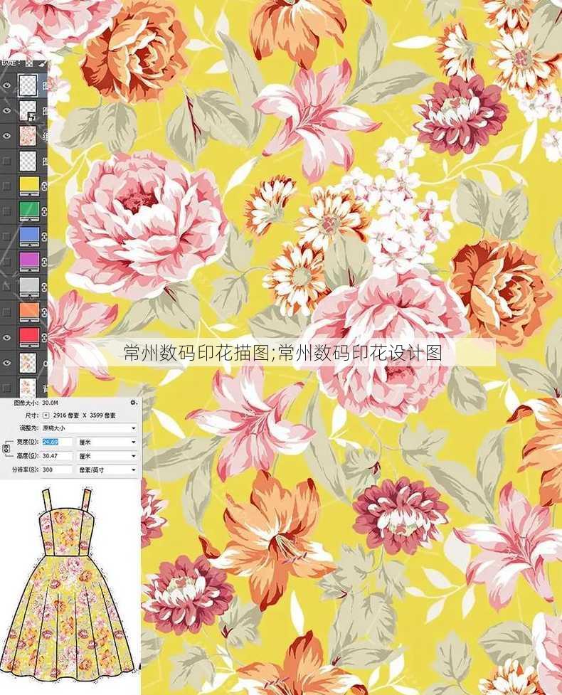 常州数码印花描图;常州数码印花设计图