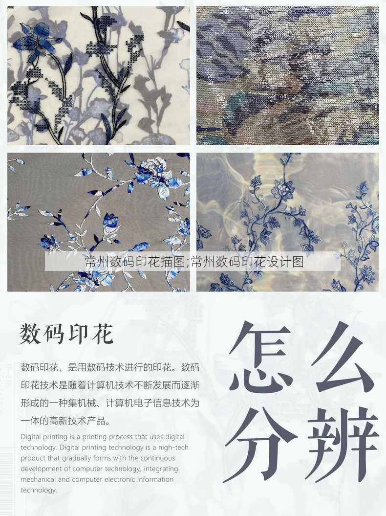 常州数码印花描图;常州数码印花设计图