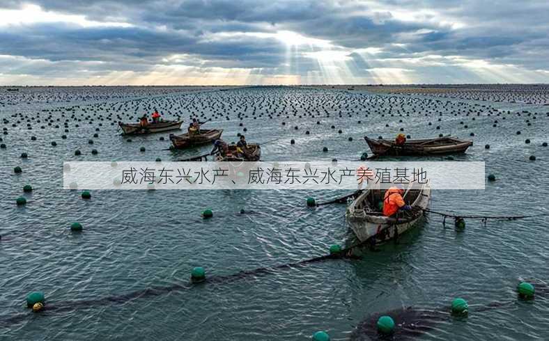 威海东兴水产、威海东兴水产养殖基地