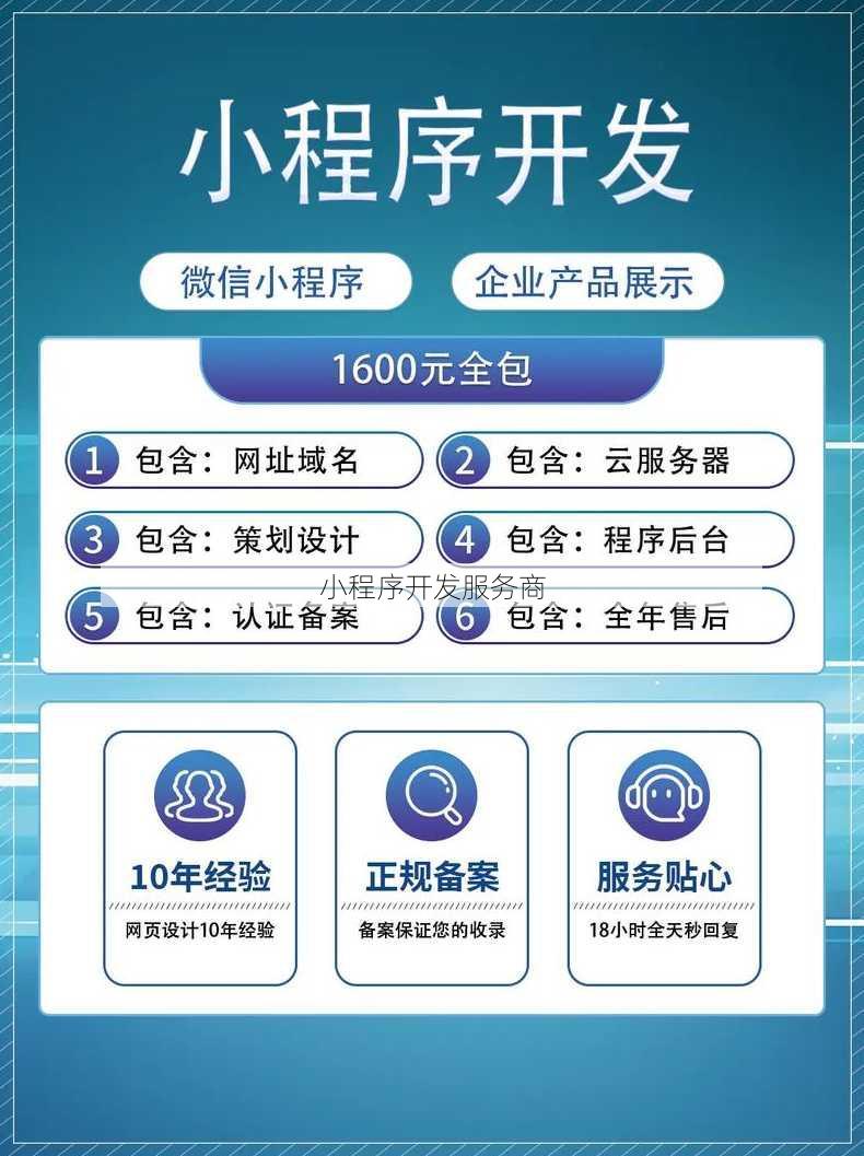 小程序开发服务商