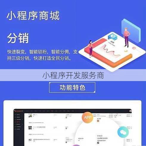 小程序开发服务商
