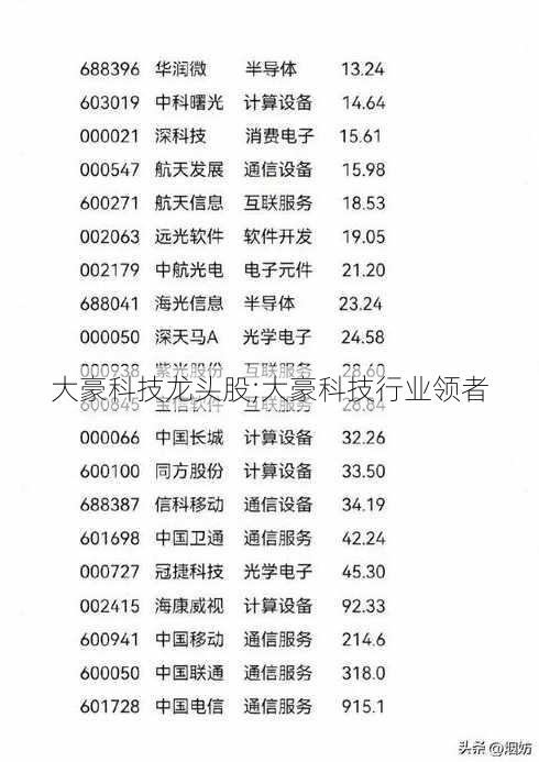 大豪科技龙头股;大豪科技行业领者