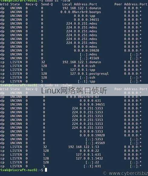 Linux网络端口侦听