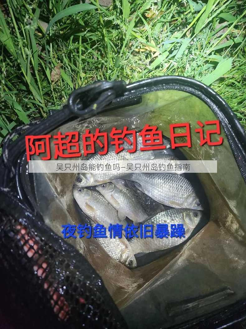 吴只州岛能钓鱼吗—吴只州岛钓鱼指南