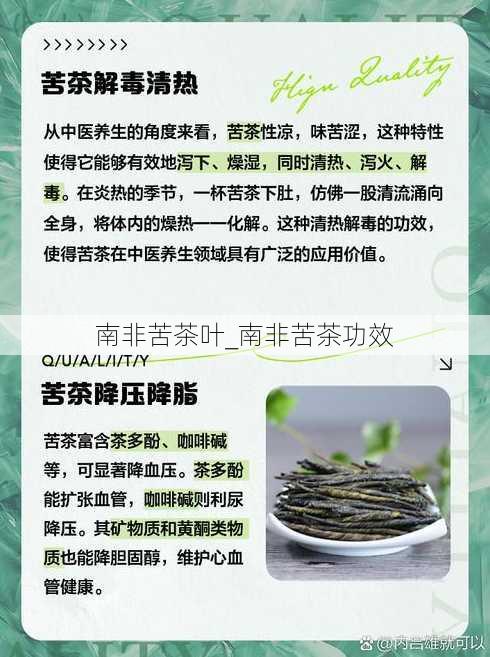 南非苦茶叶_南非苦茶功效