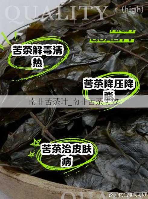 南非苦茶叶_南非苦茶功效