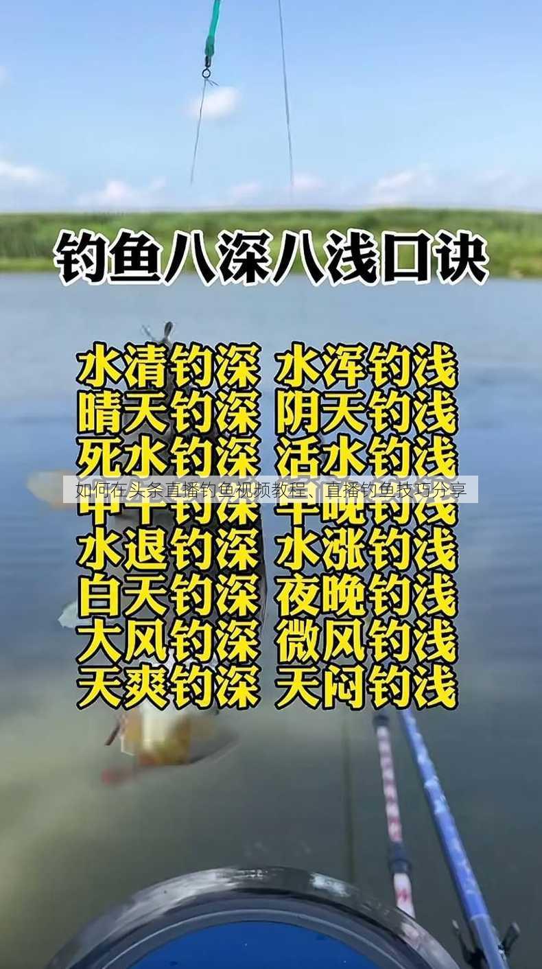 如何在头条直播钓鱼视频教程、直播钓鱼技巧分享