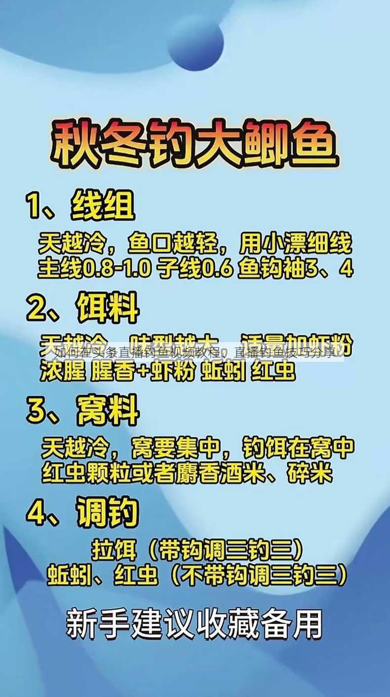 如何在头条直播钓鱼视频教程、直播钓鱼技巧分享