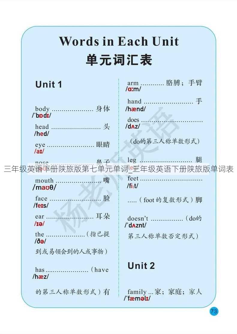 三年级英语下册陕旅版第七单元单词_三年级英语下册陕旅版单词表