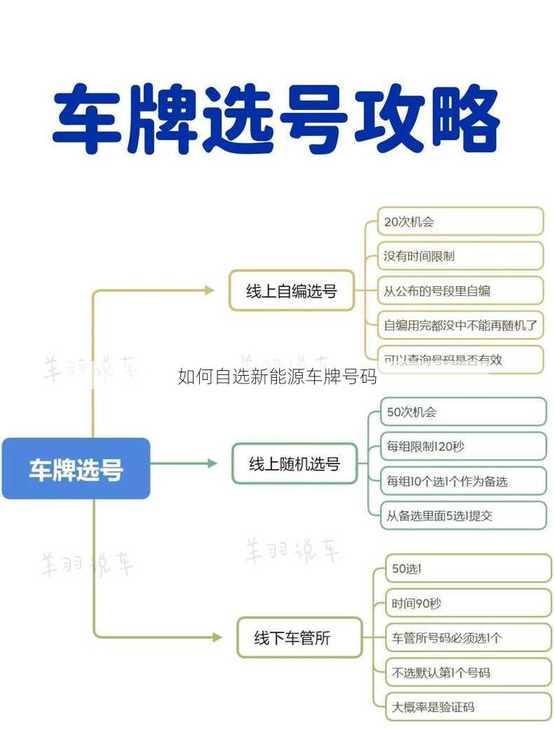 如何自选新能源车牌号码